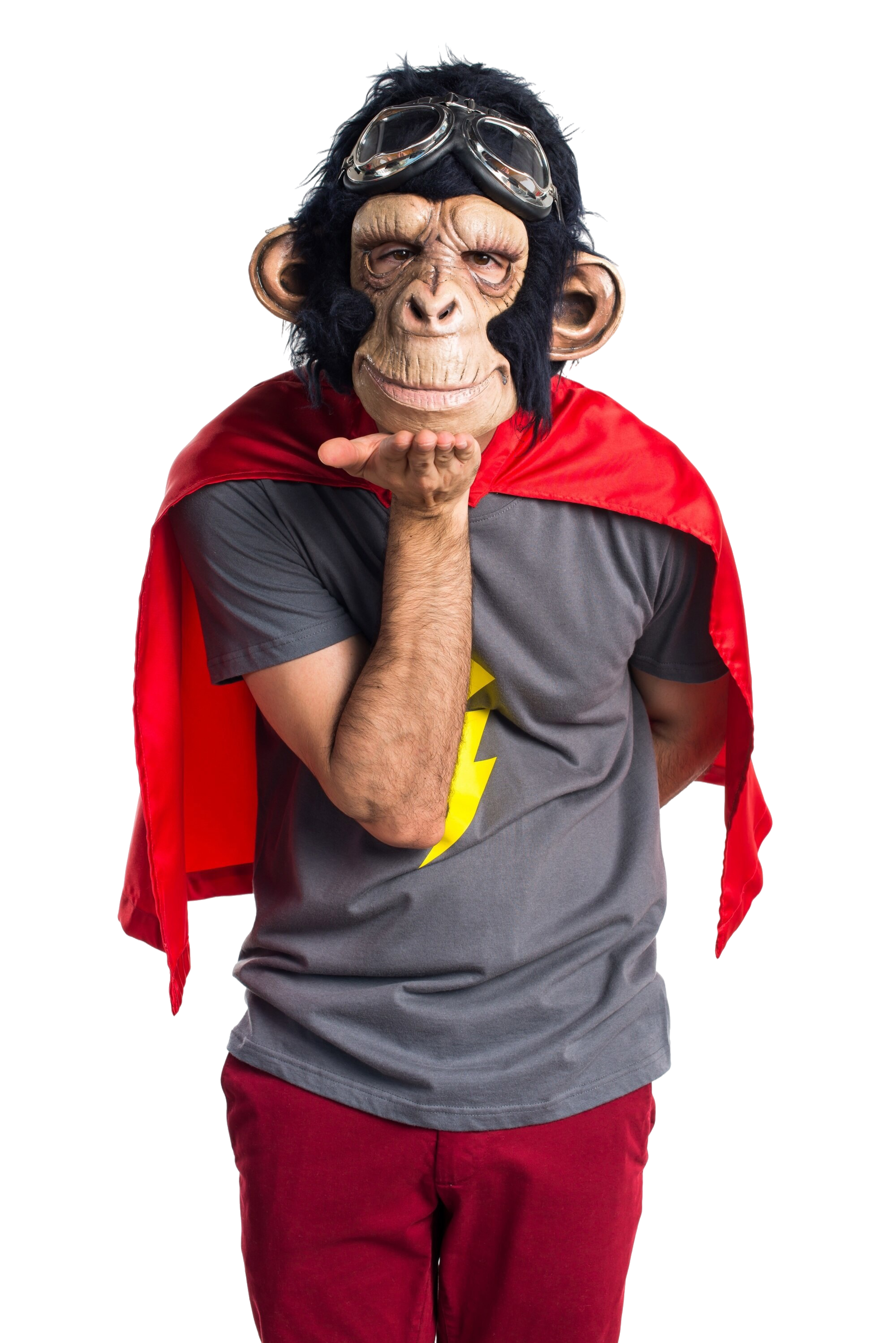 Equipo Domino Estudio